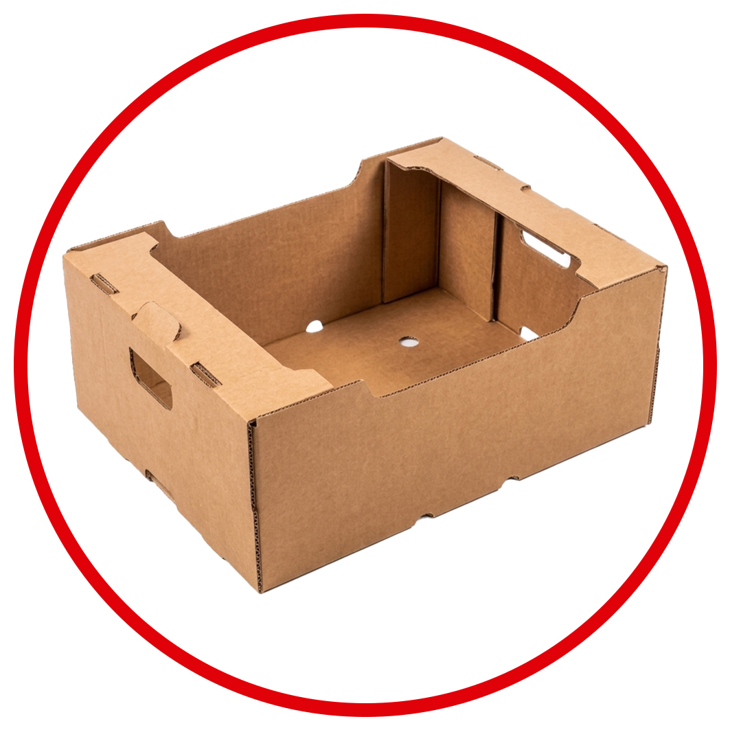 Cajas Frutihorticolas